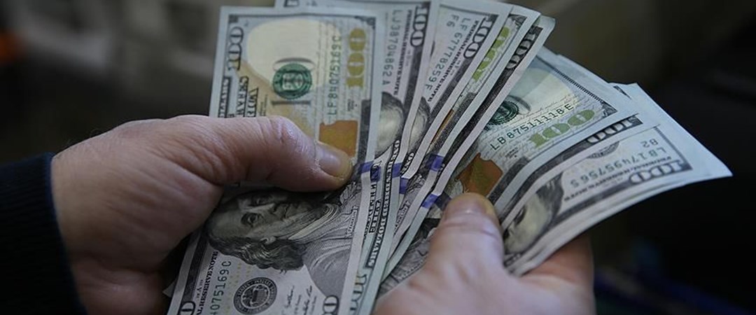 2010 Dolar Kuru Ne Kadard
