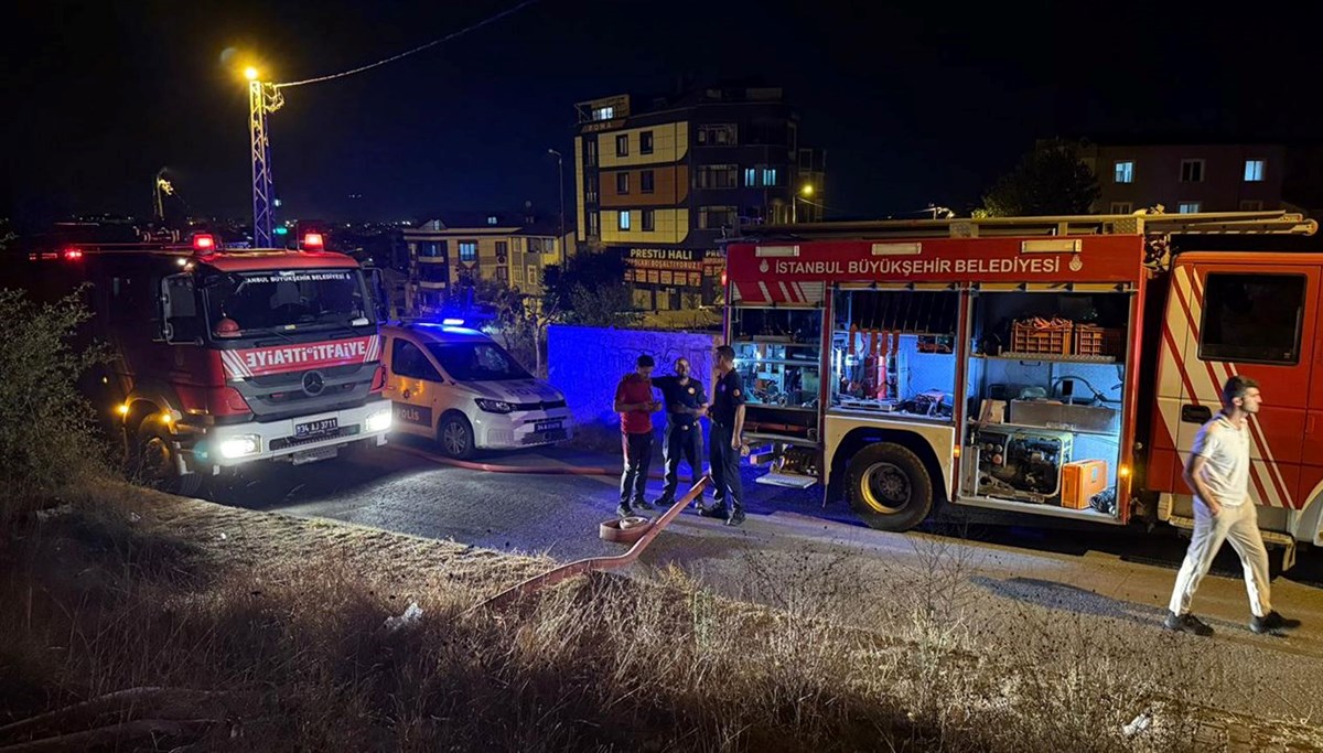 İstanbul'da orman yangını