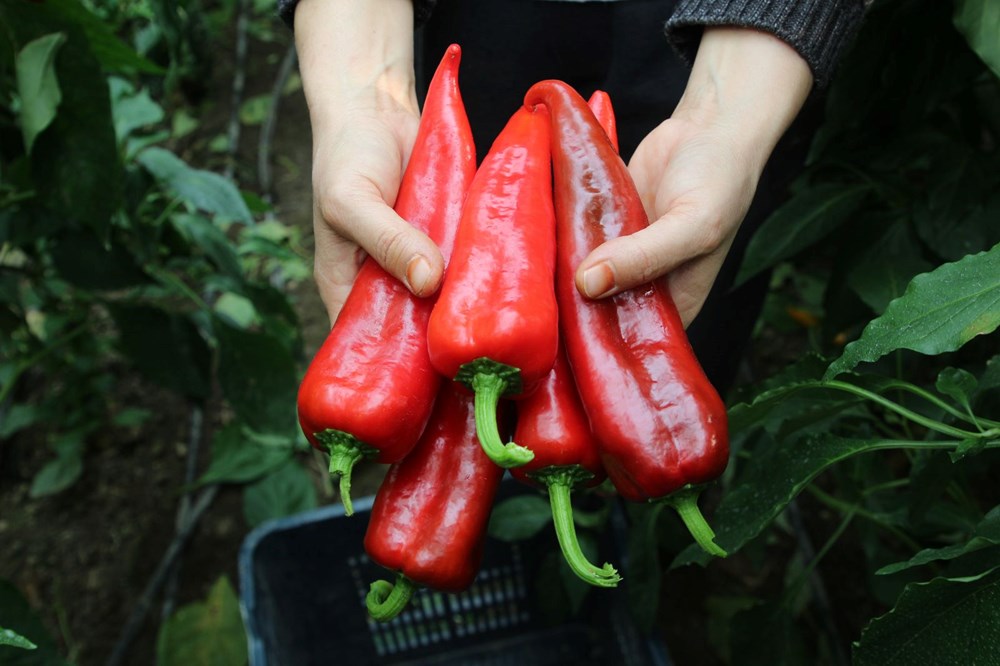 Halk arasında "kör duman" adıyla biliniyor: Senenin yarısını güneş görmeden geçiriyorlar - 10