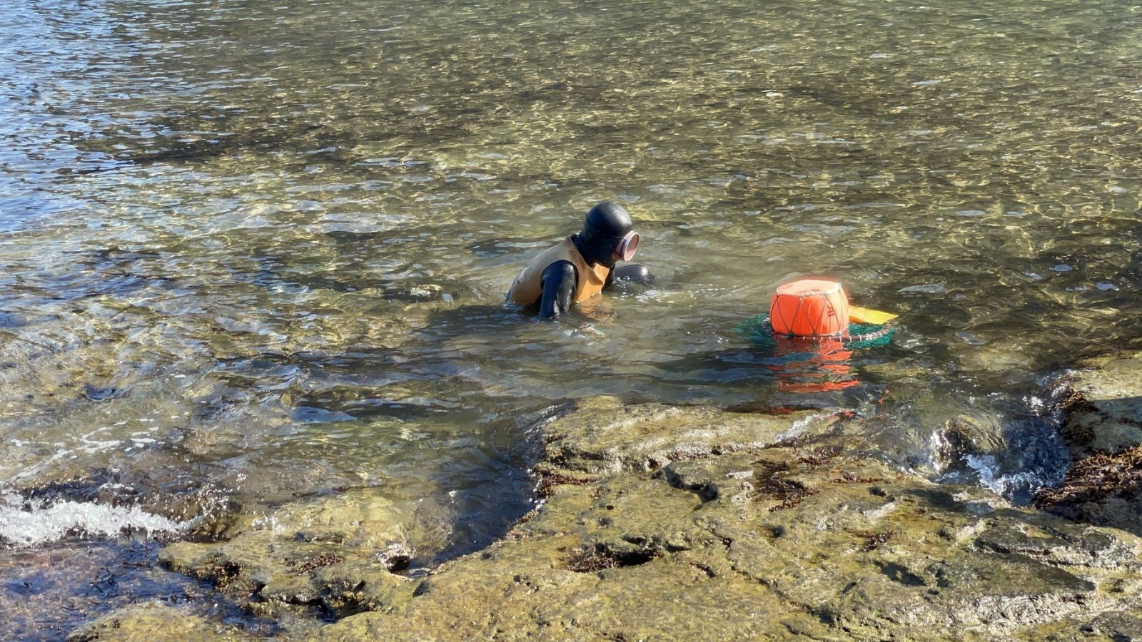 G�ney Kore'nin deniz kad�nlar�: Derin sularda ya�am m�cadelesi