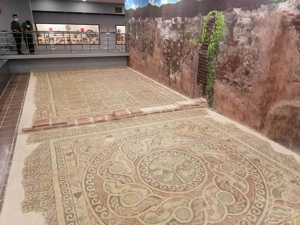 1800 yıllık elma mozaiği sergilenmeye başladı - 2