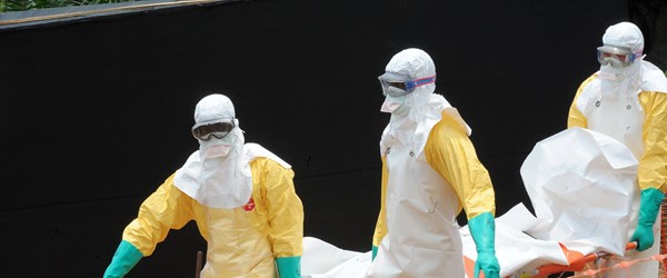 Sierra Leone'de yeni bir tür Ebola virüsü keşfedildi