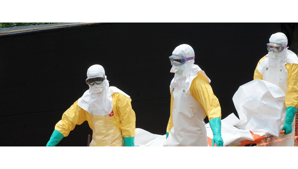 Sierra Leone'de yeni bir tür Ebola virüsü keşfedildi