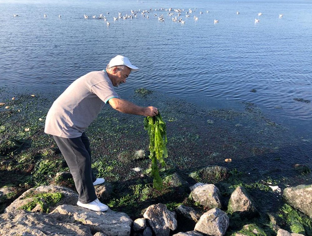 İzmir Körfezi değil,'marul tarlası' - 4