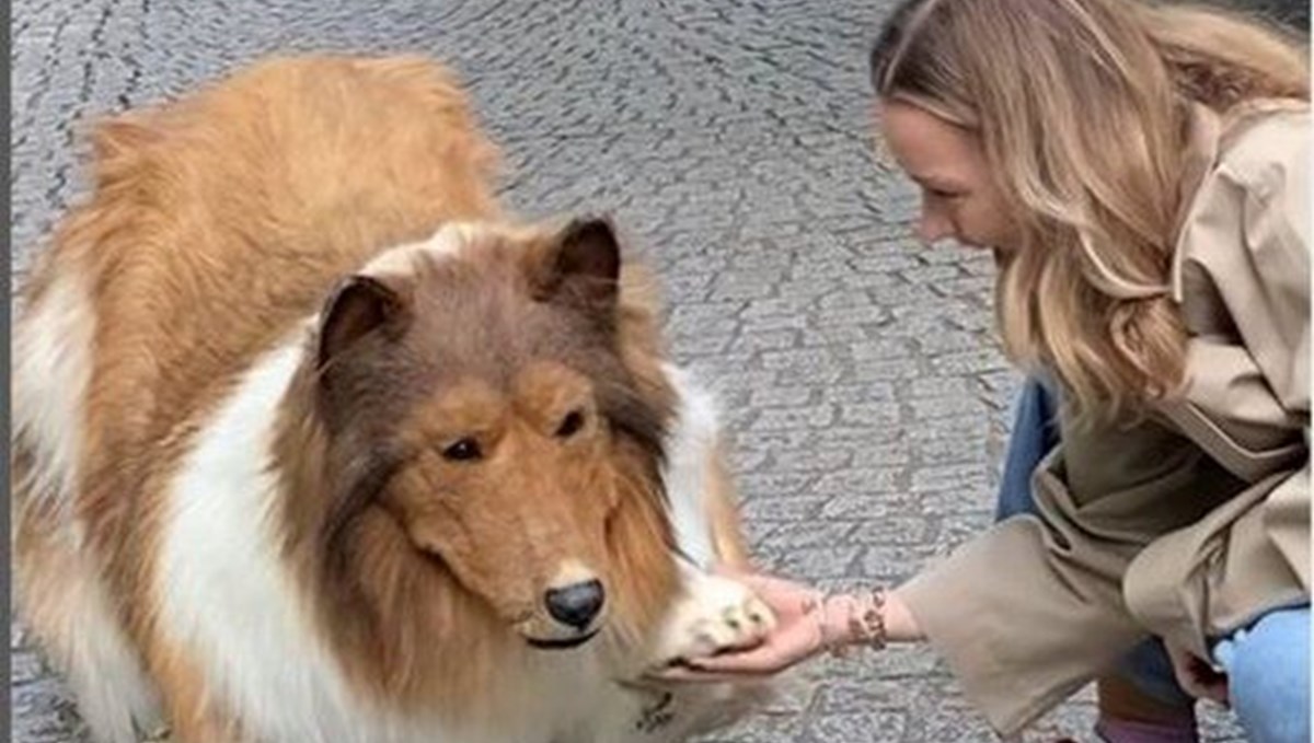 Hayalini gerçekleştirdi! Köpeğe benzemek için 380 bin lira harcadı