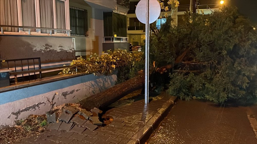 16 yasindaki berke nin aci olumu komsularin ihbariyla harekete gecildi