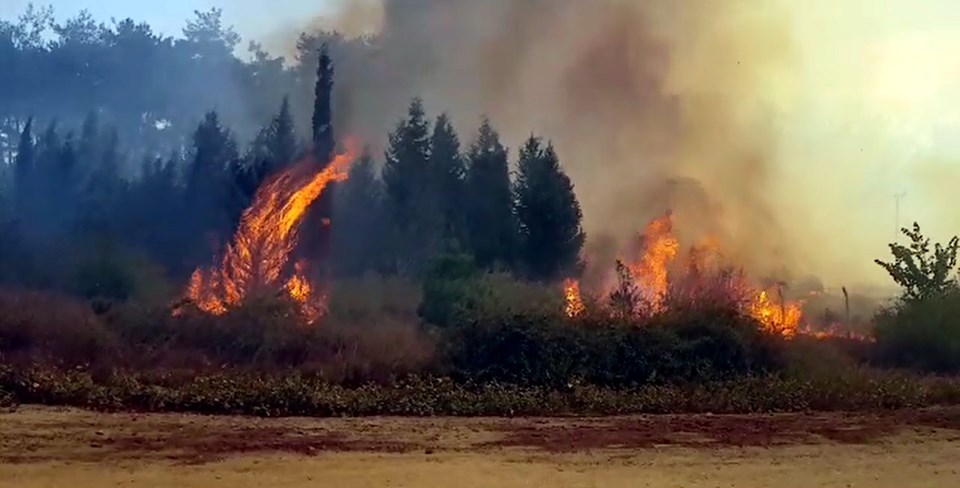 Kahramanmaraş'ta orman yangını kontrol altına alındı - 1