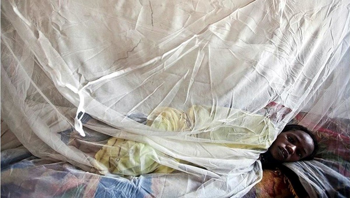 Nijerya'da bir haftada 12 Lassa ateşi vakası tespit edildi Nijerya'da bir haftada 12 Lassa ateşi vakası tespit edildi