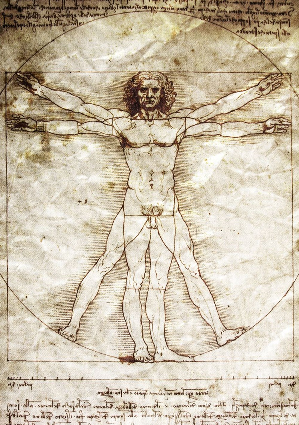 Leonardo Da Vinci’nin soyağacının 700 yılı ortaya çıkarıldı: Yaşayan 14 torunu bulundu - 5