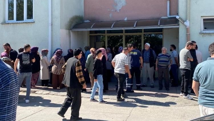 Ağacın üstünde acı son
