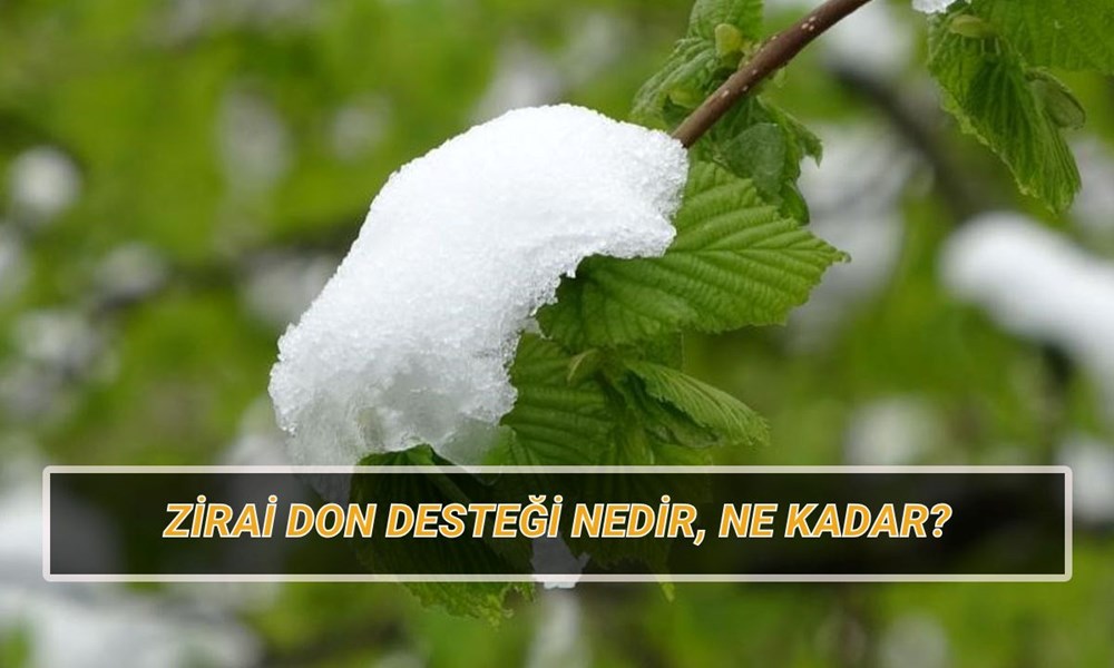 Zirai don takviyesi ne kadar, koşulları neler? Zirai don vuran vilayetler hangileri? 72 mub6YAsGmEyZ5VOw7GKydw