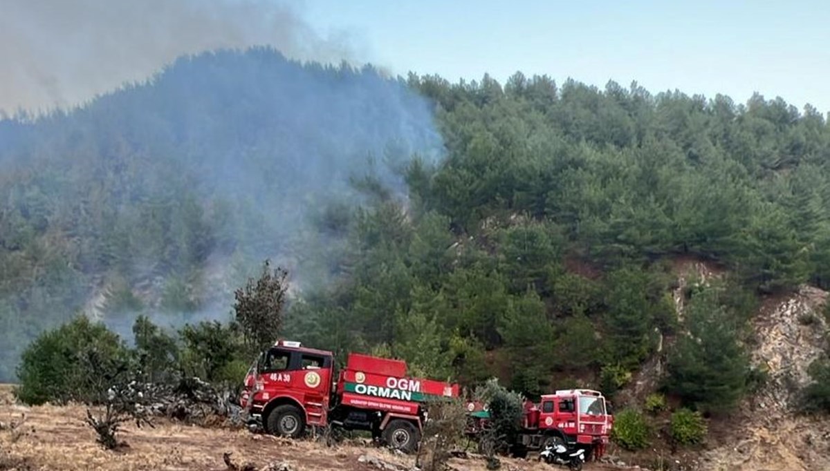 Gaziantep'te orman yangını Gaziantep'te orman yangını