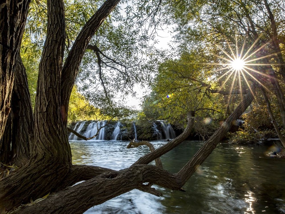 Mezopotamya'nın altın üçgeni 'Çınar' buram buram tarih kokuyor - 7