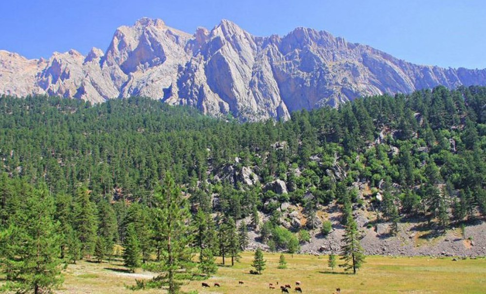 Türkiye'nin Milli Parkları (Türkiye'deki milli parkların listesi ve isimleri) - 54