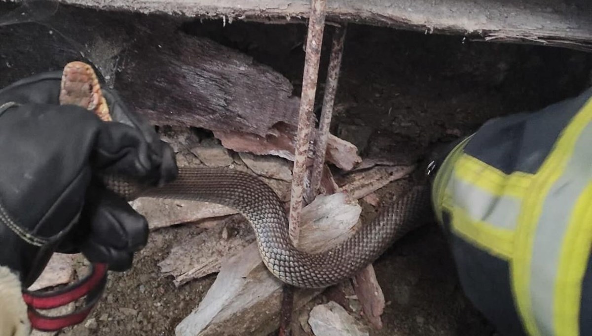 Depoya giren yılanı itfaiye ekipleri yakaladı Depoya giren yılanı itfaiye ekipleri yakaladı