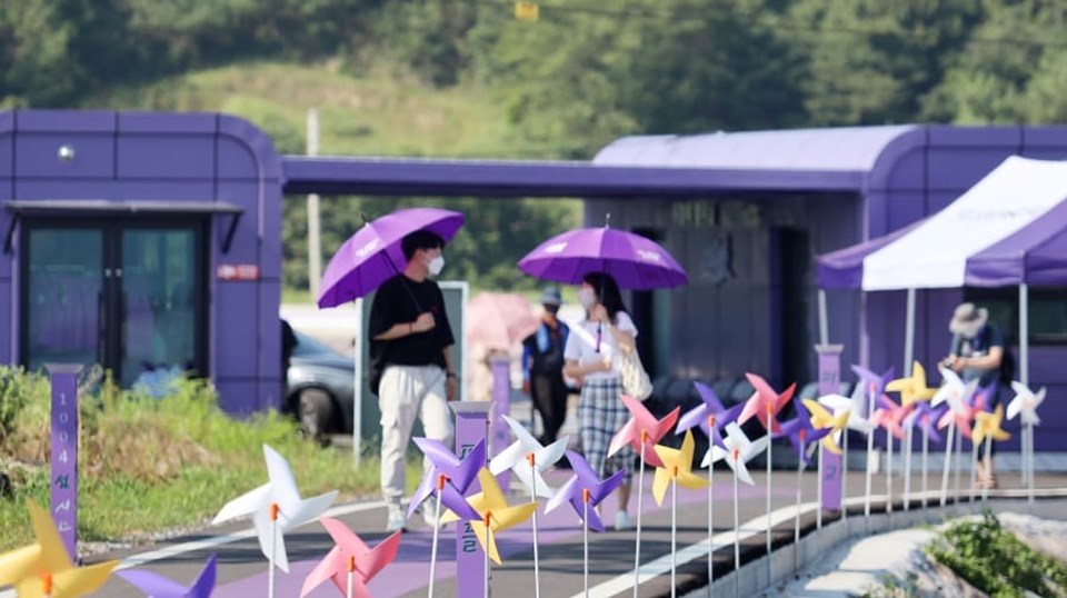 Güney Kore'de adalara turist çekmek sıra dışı yöntem: Her şey mora boyandı - 2