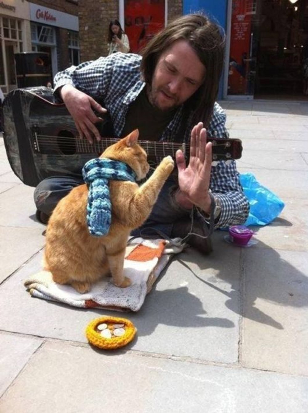 Bir evsizin hayatını değiştiren, kitaba ve filme konu olan kedi Bob