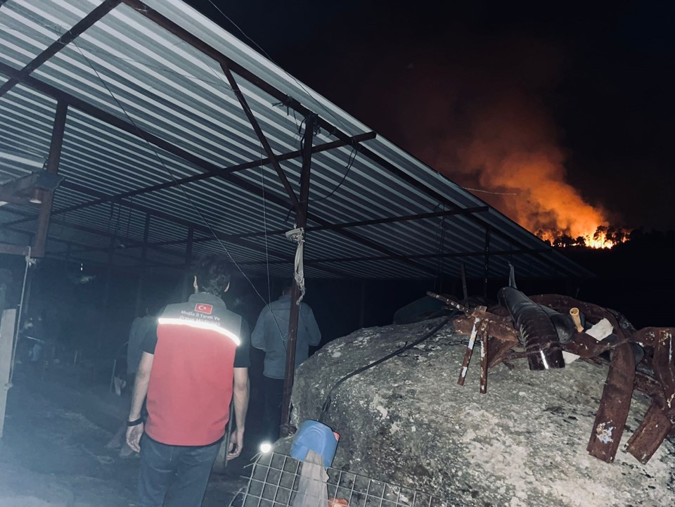 Muğla'daki yangınlar üreticiyi de vurdu - 1