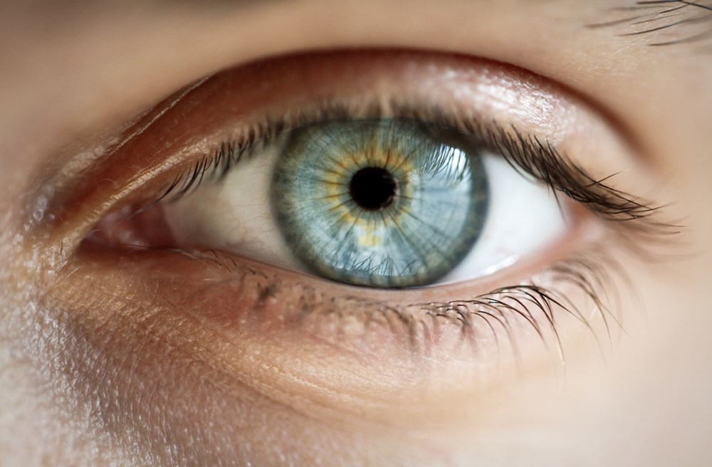 Araştırmalara göre dünyadaki tüm mavi gözlü insanlar aynı soydan geliyor - 2