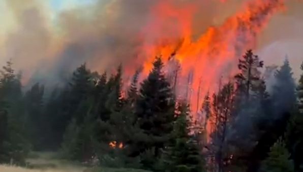 Çankırı'da orman yangını