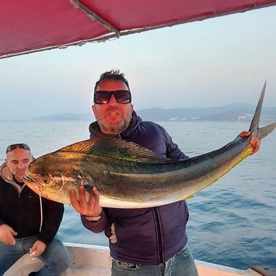 Kuşadası Körfezi'nde 15 kiloluk lambuka balığı yakalandı - 1
