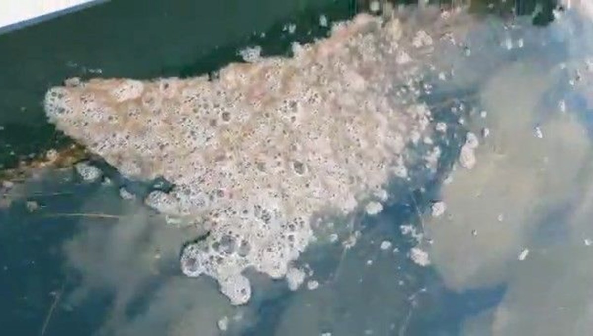 Çanakkale Boğazı’nda müsilaj tekrar görüldü