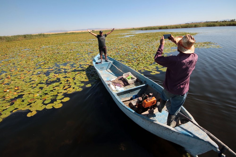 Türkiye'nin en büyük nilüfer bahçesi: Beyşehir Gölü - 4