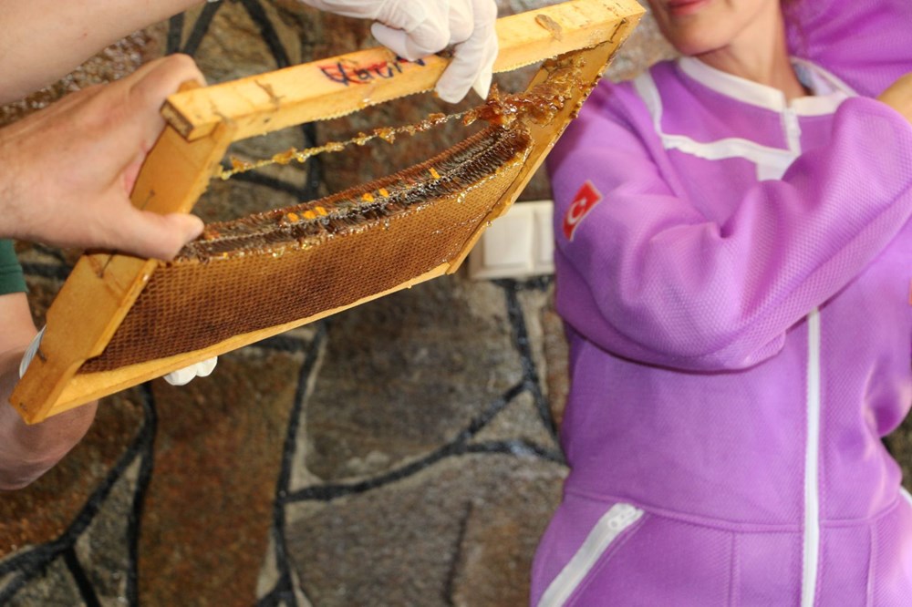 Padişahların balı olarak biliniyor: Bu yıl rekolte 3 kat daha fazla - 2