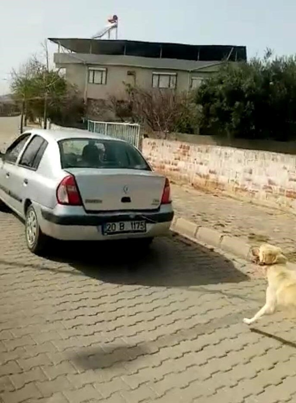 Aydın'da tepki çeken görüntü - 1