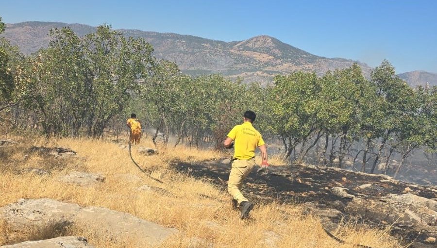 Diyarbakır'daki yangın söndürüldü