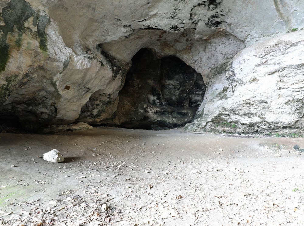 İlk insanlar sert kışlarla mücadele etmek için kış uykusuna yatmış olabilir - 7