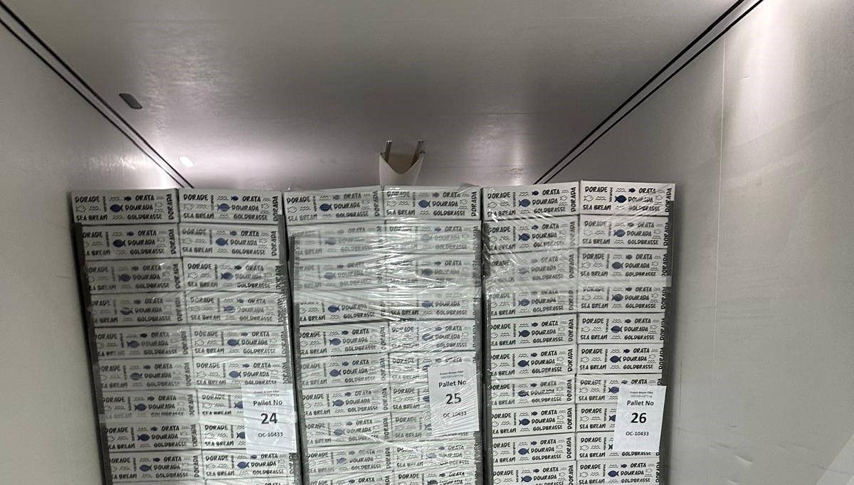 Aydın'dan İtalya'ya 19 ton ihraç edilecek: Ülke ekonomisine büyük katkı sağlıyor Aydın'dan İtalya'ya 19 ton ihraç edilecek: Ülke ekonomisine büyük katkı sağlıyor