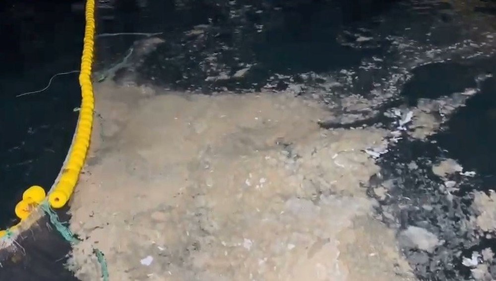 Marmara Alarm Veriyor: Müsilaj Tehlikesi Büyüyor 77 n4b9P4L 3EyIeChjZ s cw