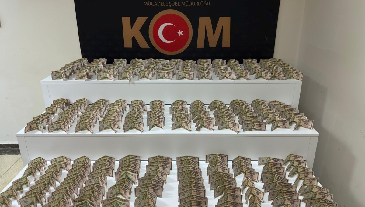 Elazığ'da piyasaya sahte dolar süren kişi tutuklandı Elazığ'da piyasaya sahte dolar süren kişi tutuklandı
