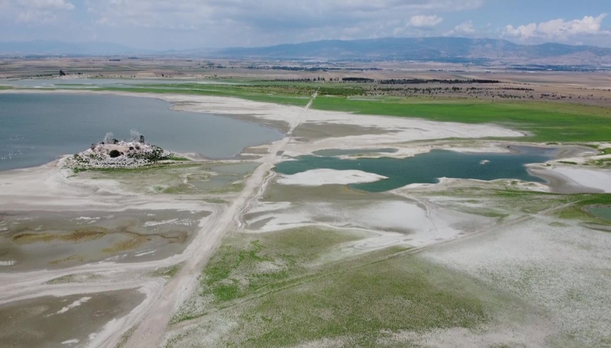 Amasya'daki Yedikır Baraj Gölü'nde endişelendiren göründü! Balık ölümleri görülmeye başladı