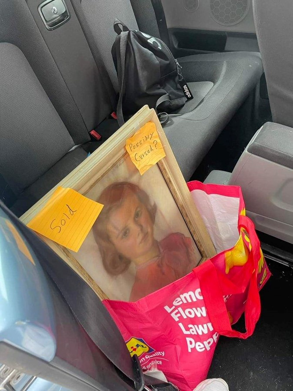 Lanetli resim: Bu resmi alan hemen kurtulmak istiyor - 1