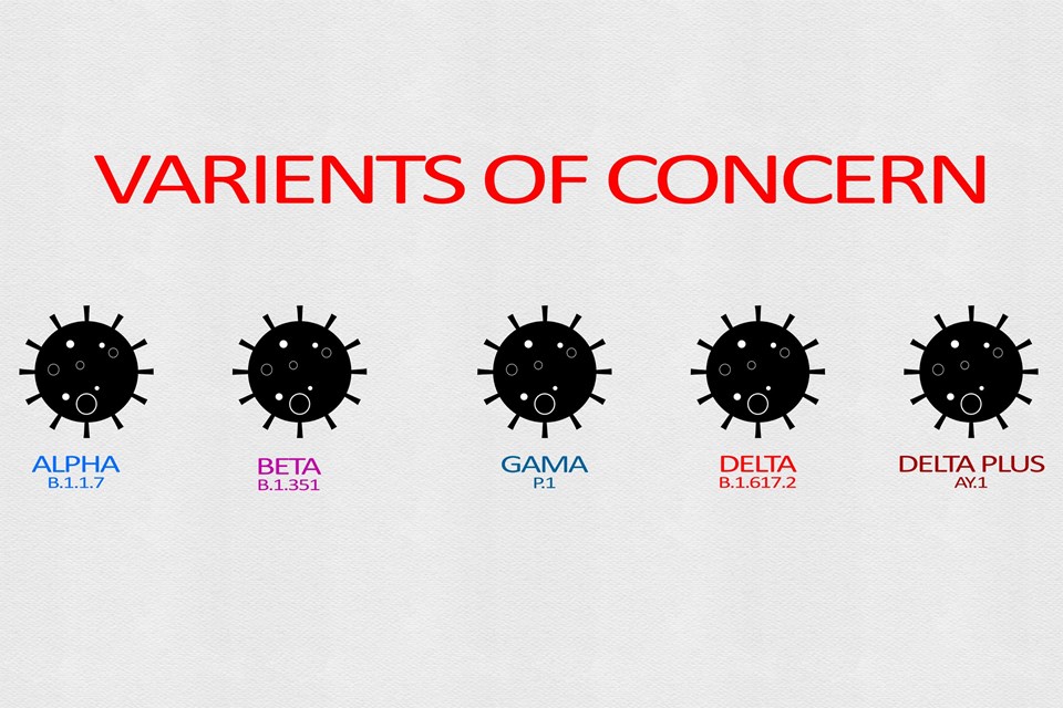 Bilim insanları: Covid-19'un beta varyantı aşılara karşı daha dirençli olabilir - 2