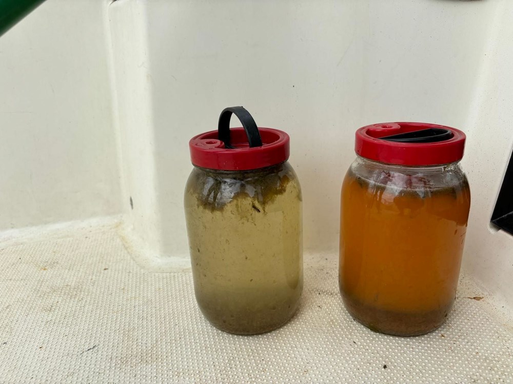 Marmara'da müsilaj şüphesi: Numuneler TÜBİTAK'a gönderildi - 2