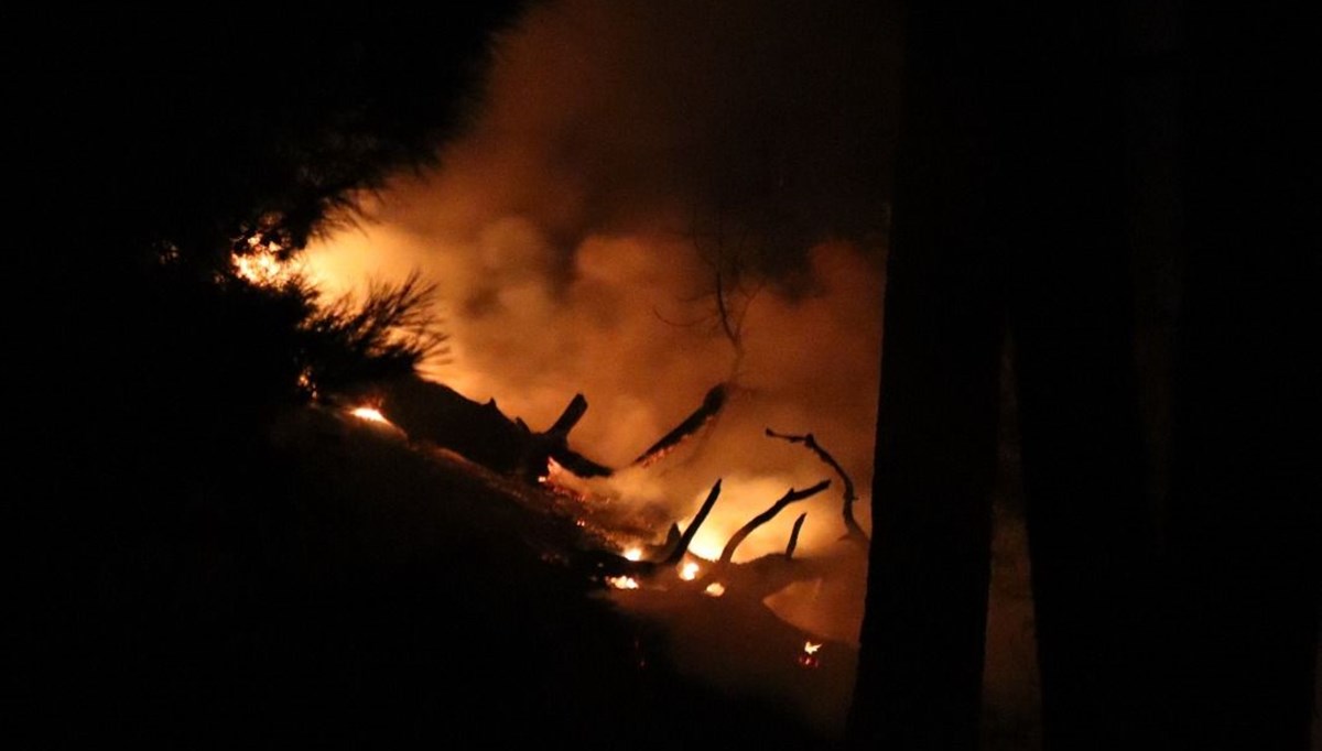 Köyceğiz, Menderes ve Urla'daki yangınlar kontrol altına alındı