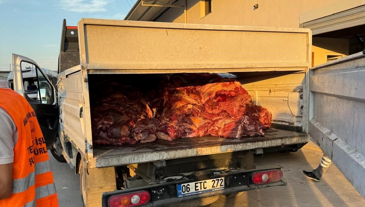 3 ton tek tırnaklı eti ele geçirildi