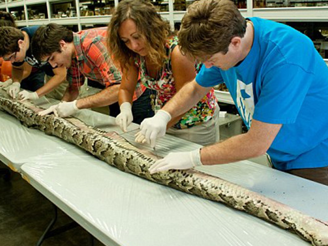 vucudundan 87 yumurta cikti magazin