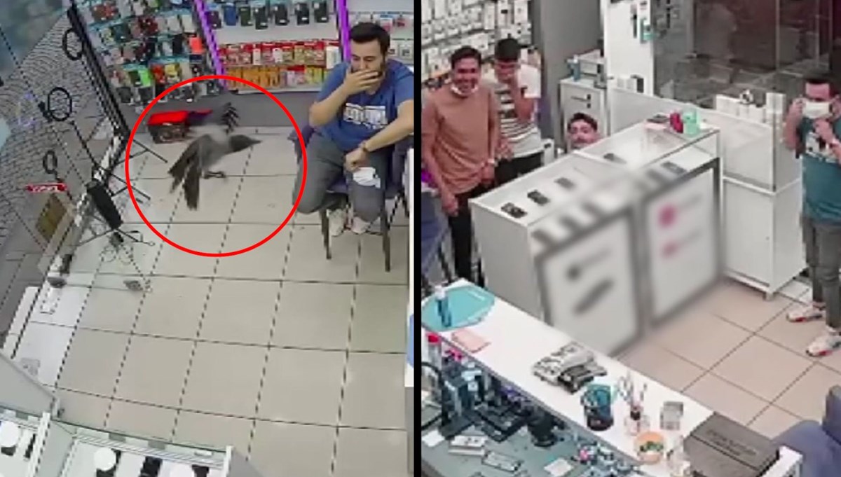 Karga iş yerini bastı!