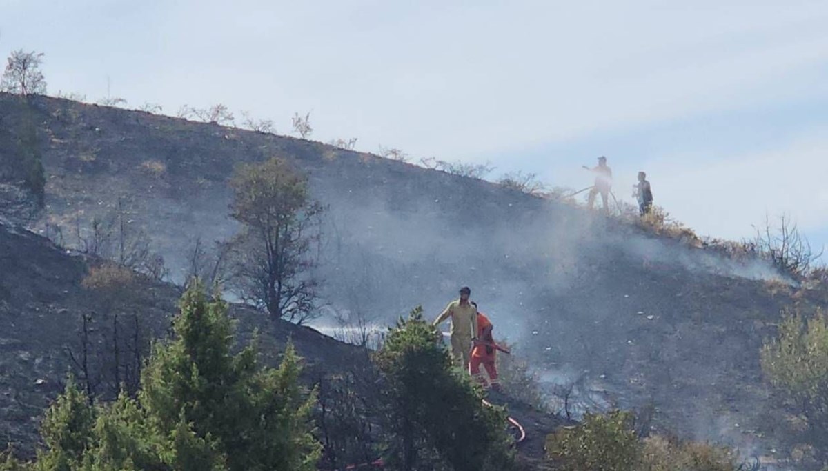 Bingöl'de örtü yangını