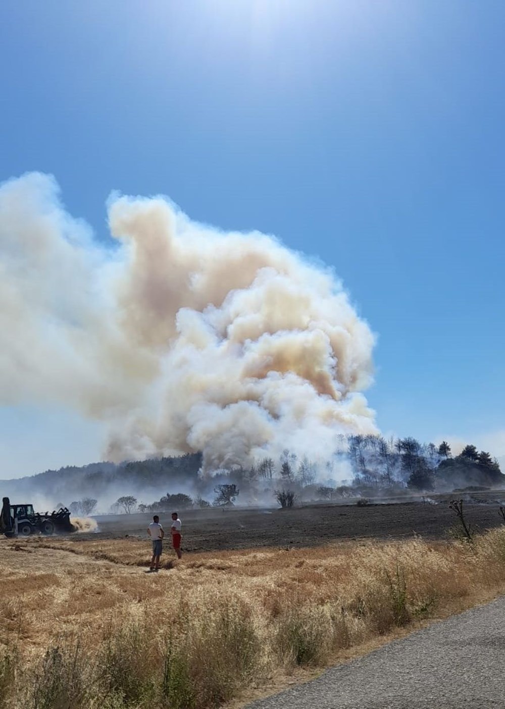 Çanakkale'de orman yangını | Gemi trafiği askıya alındı - 5