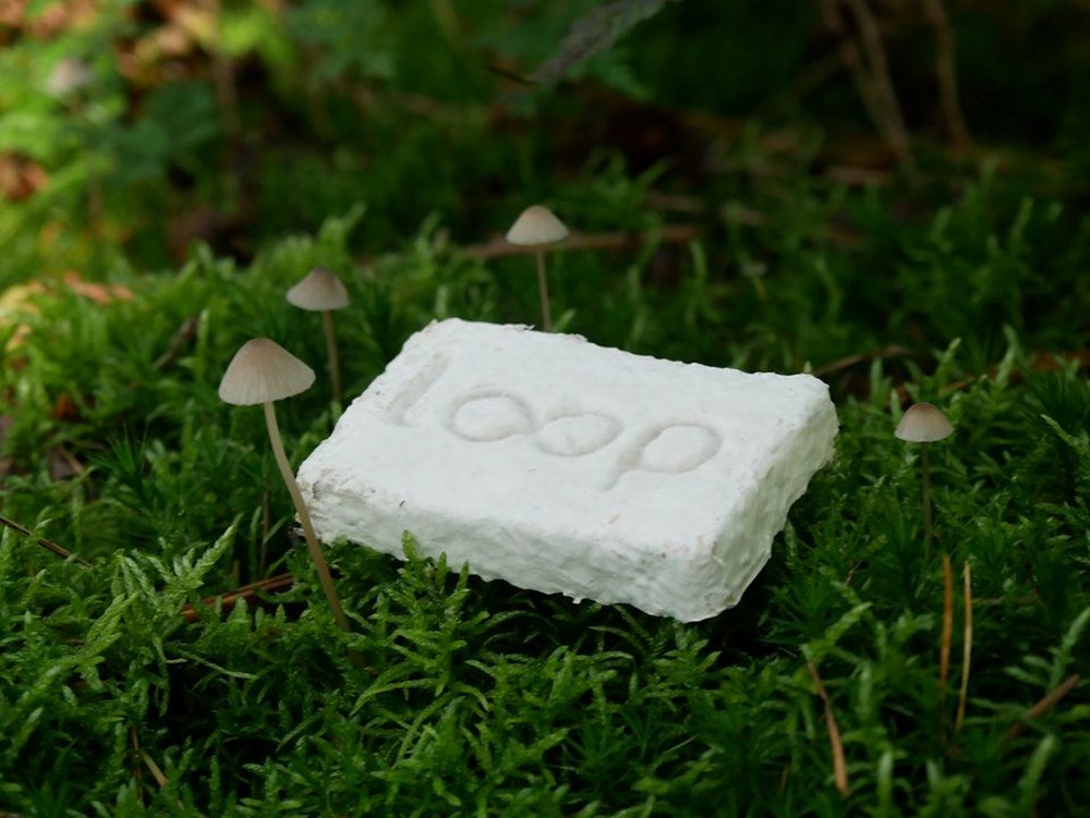 Ölümün en çevreci yolu: Cesetten beslenen canlı tabut - 6