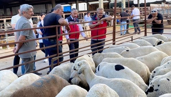 Kurbanlık hayvan satışı sıkı denetimde