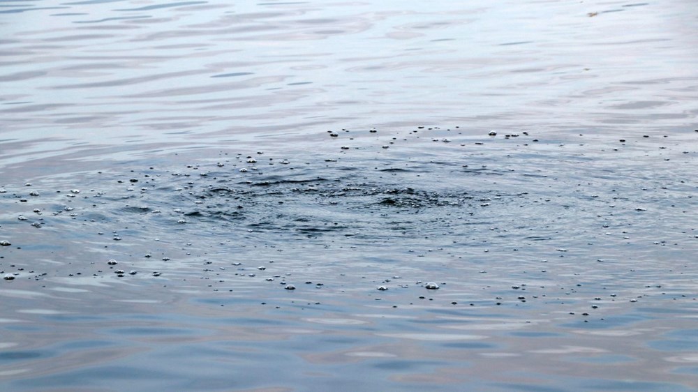 Korkutan iddia: Burdur Gölü’ndeki gaz çıkışı, olası bir depremin habercisi olabilir - 5