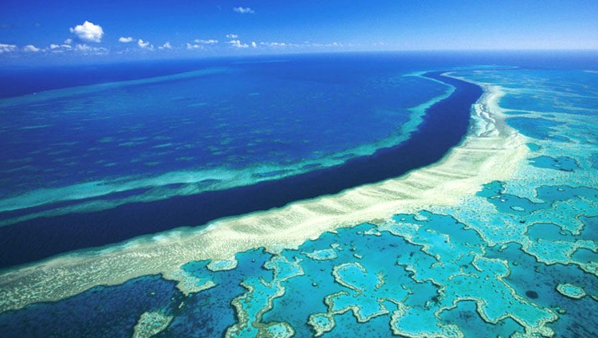 Avustralya'daki Büyük Set Resifi'nde mercan popülasyonu 36 yılın en yüksek düzeyinde