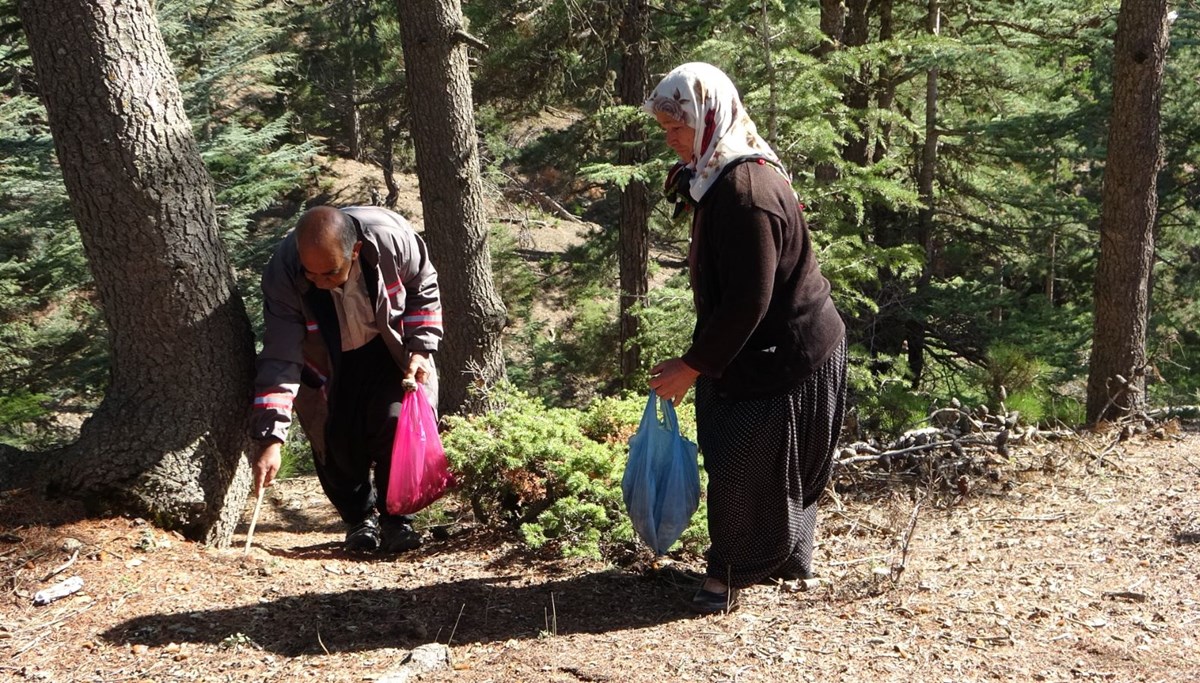 Yağmur sonrası herkes onu arıyor (Kilosu 100 lira)