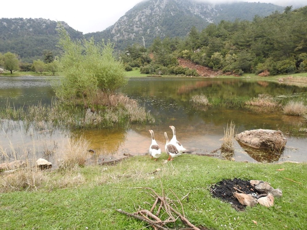 nL1HwQrsO0ytK8gdTBoiJw